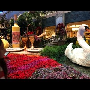 Meet your Posher, Maddie